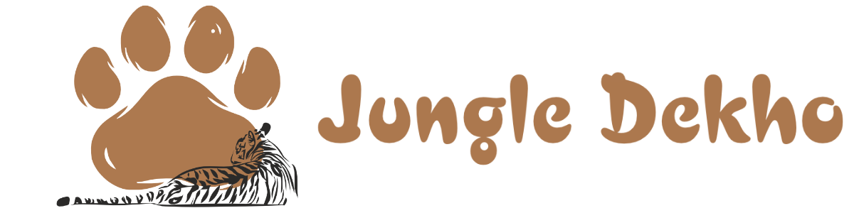 Untitled design (2)